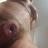 Dirty cock, ripe pits